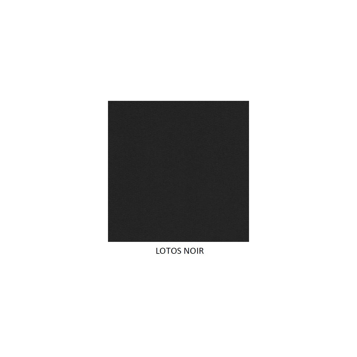 Coloris Lotos Noir