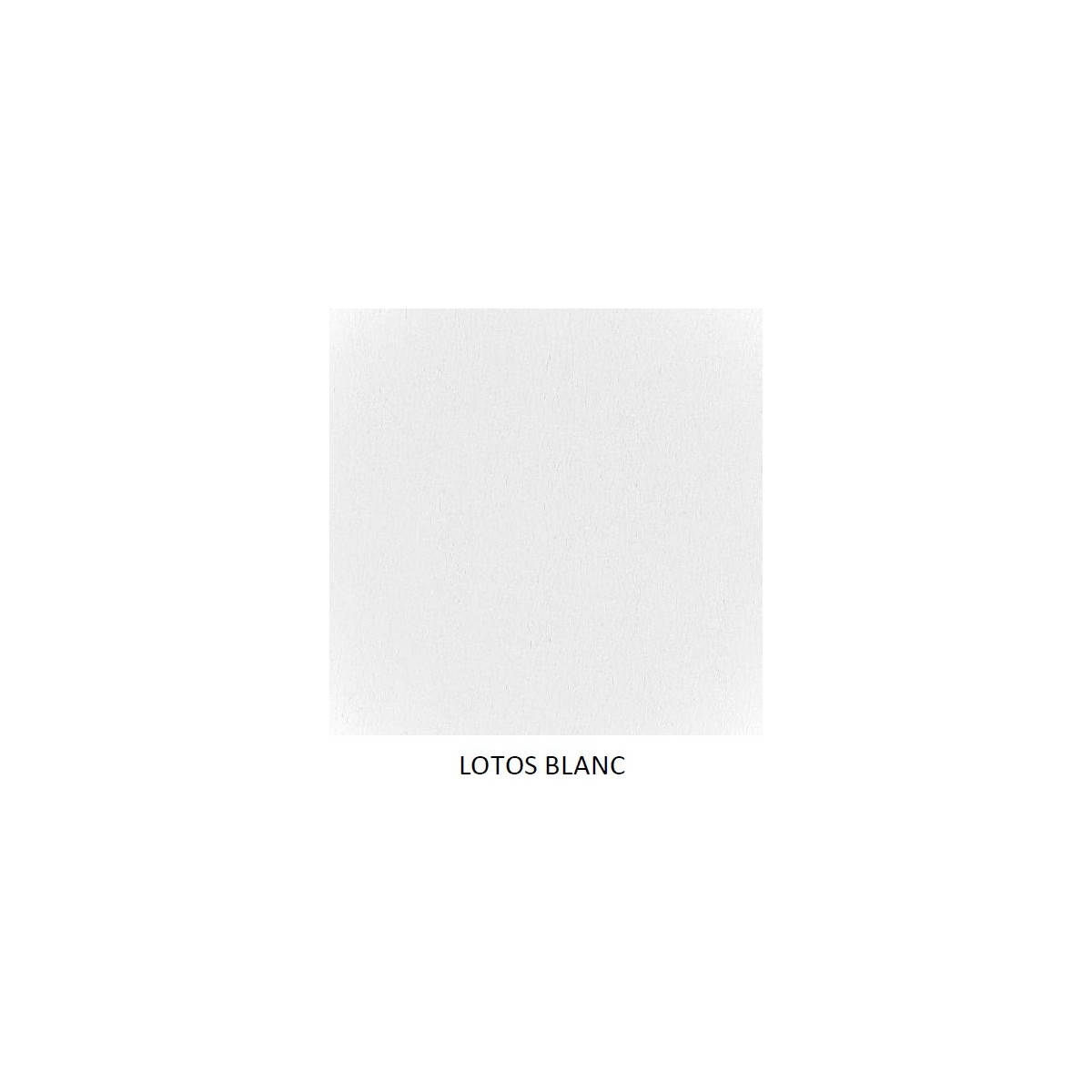 Coloris Lotos Blanc