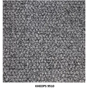 coloris khéops gris 9510