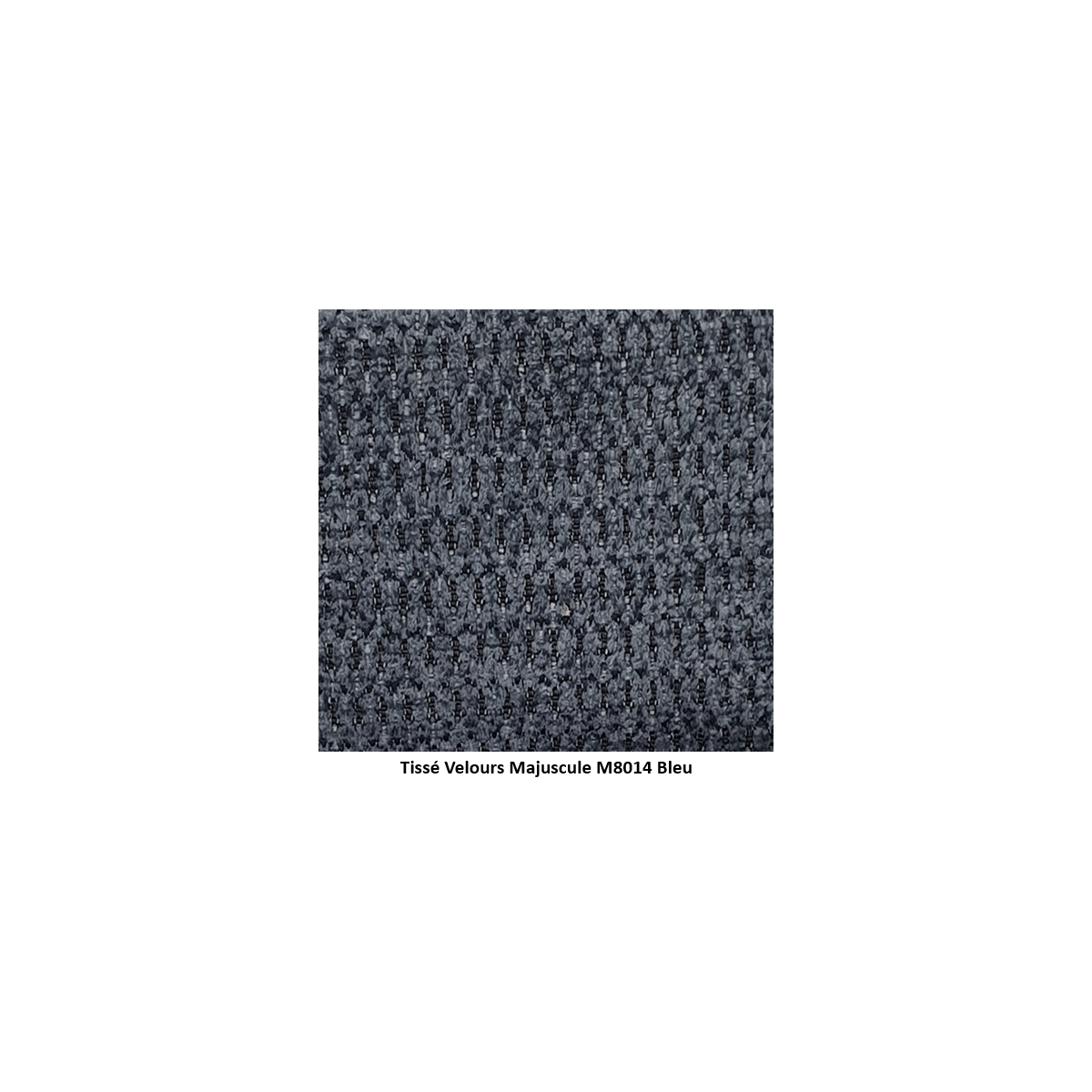 coloris tissé velours majuscule M8014 bleu