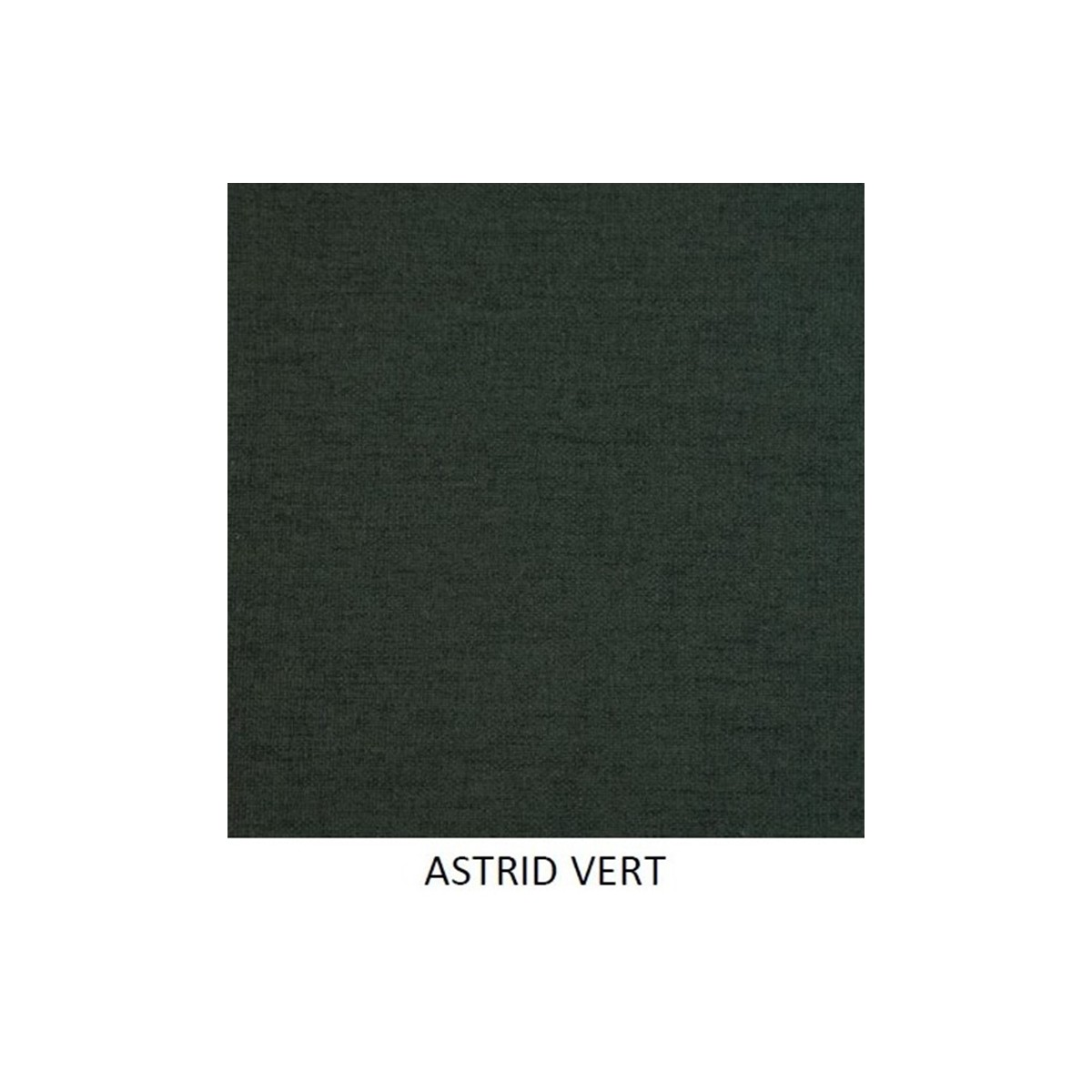 coloris astrid vert