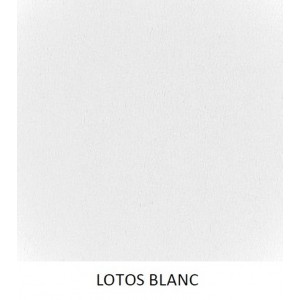 coloris lotos blanc