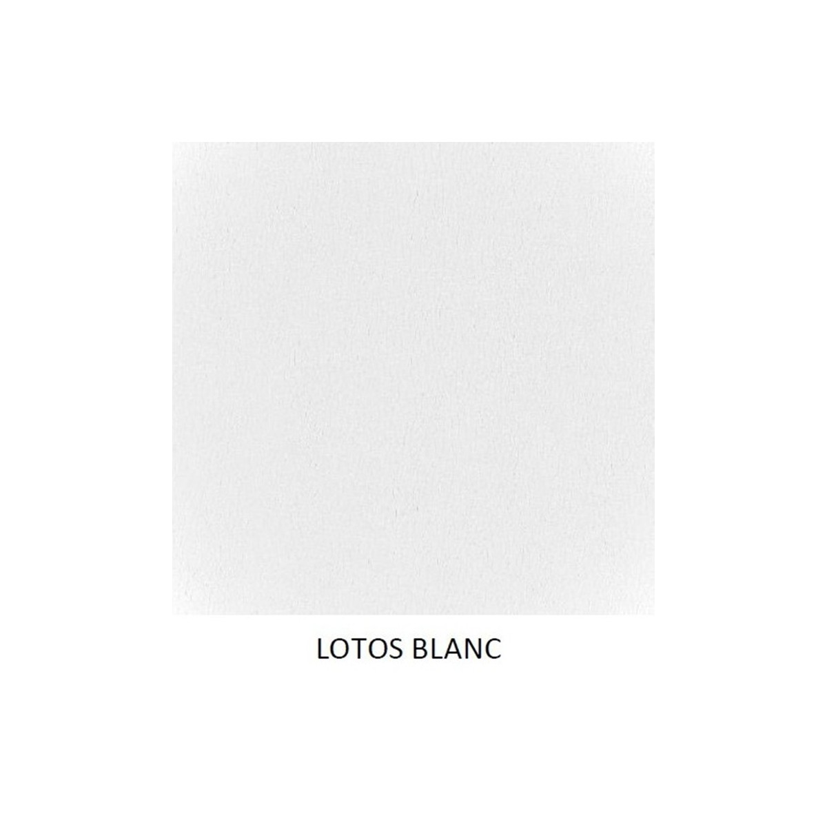 coloris lotos blanc