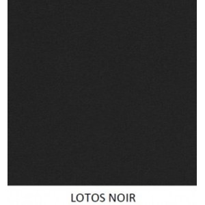 coloris lotos noir