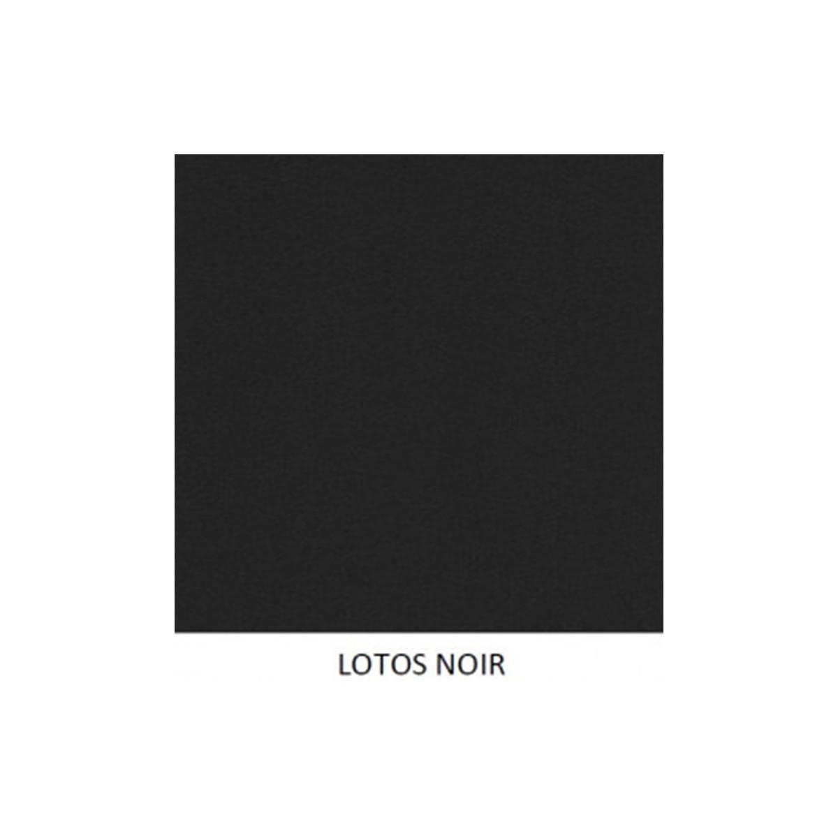 coloris lotos noir