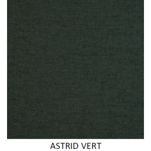Coloris Astrid Vert