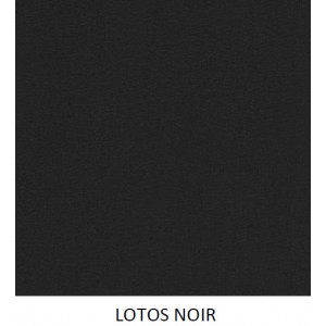 Coloris Lotos Noir
