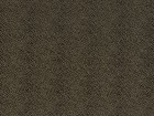 beluga noir z17
