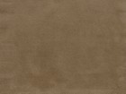 taupe b02
